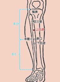 上巨虛穴