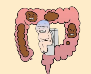 大便太硬