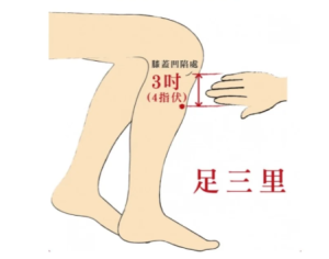 足三里穴
