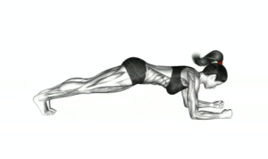 平板支撐肩觸​